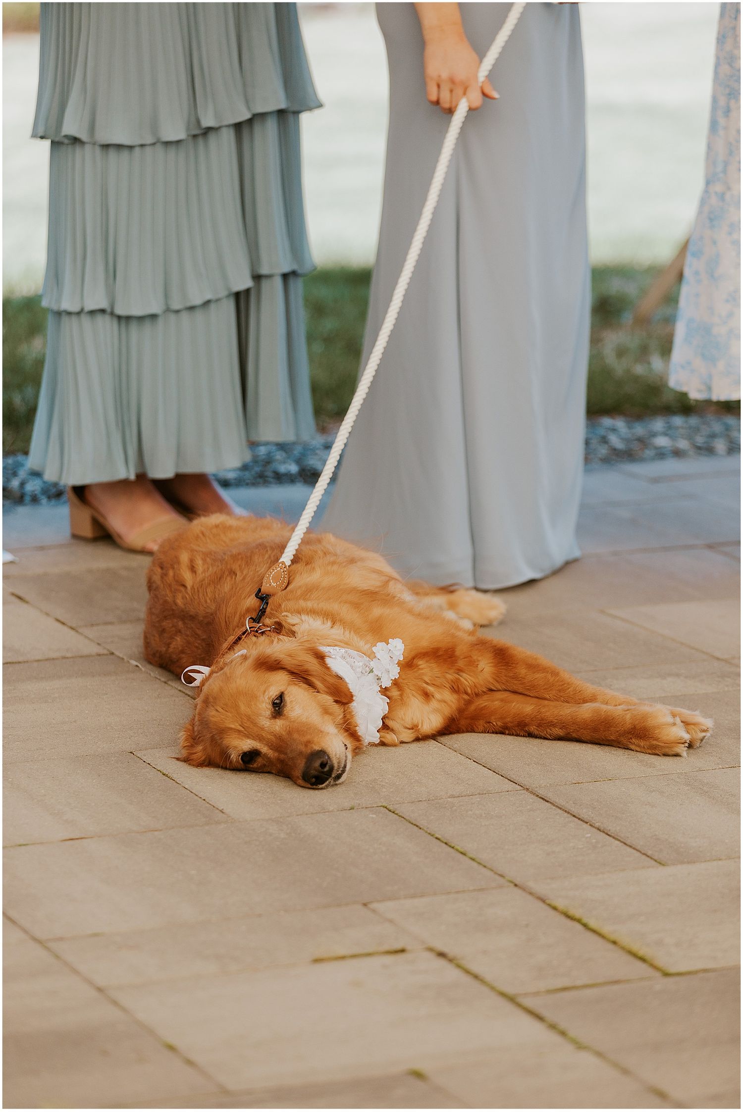 A golden retriever dog lies peacefully on a tiled floor next to someone wearing a flowing blue dress.