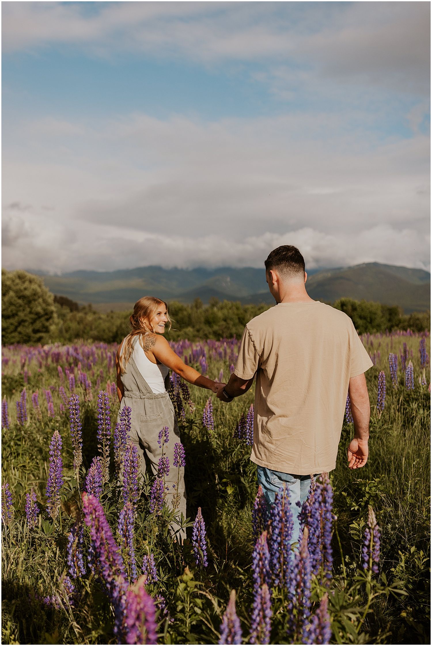 Wildflower proposal in lupine field NH