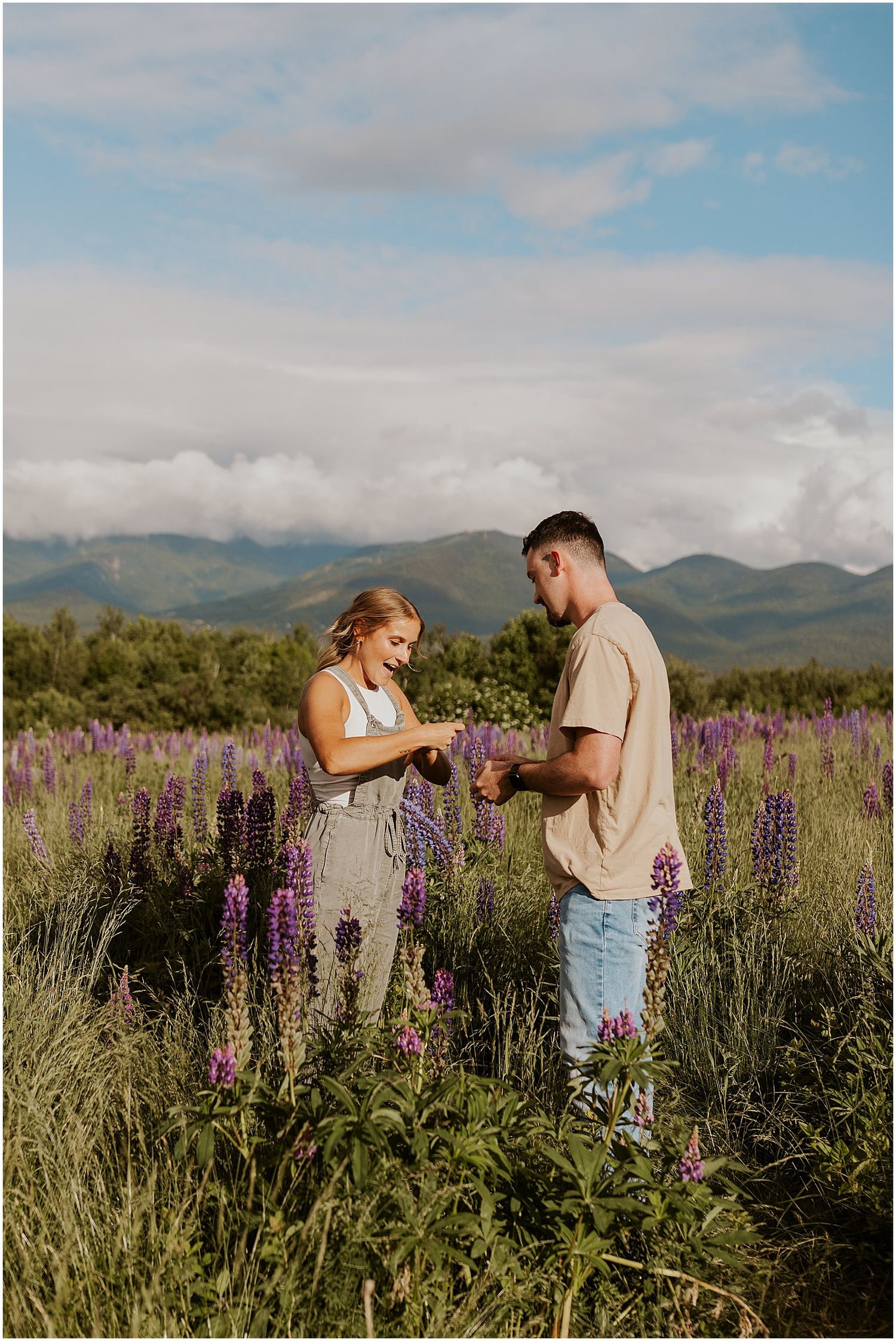Sugar Hill NH proposal photos in Lupine field