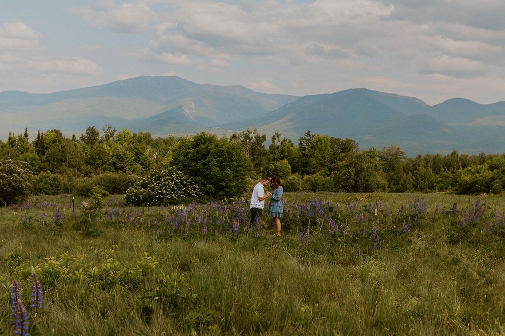 NH Sugar Hill surprise proposal