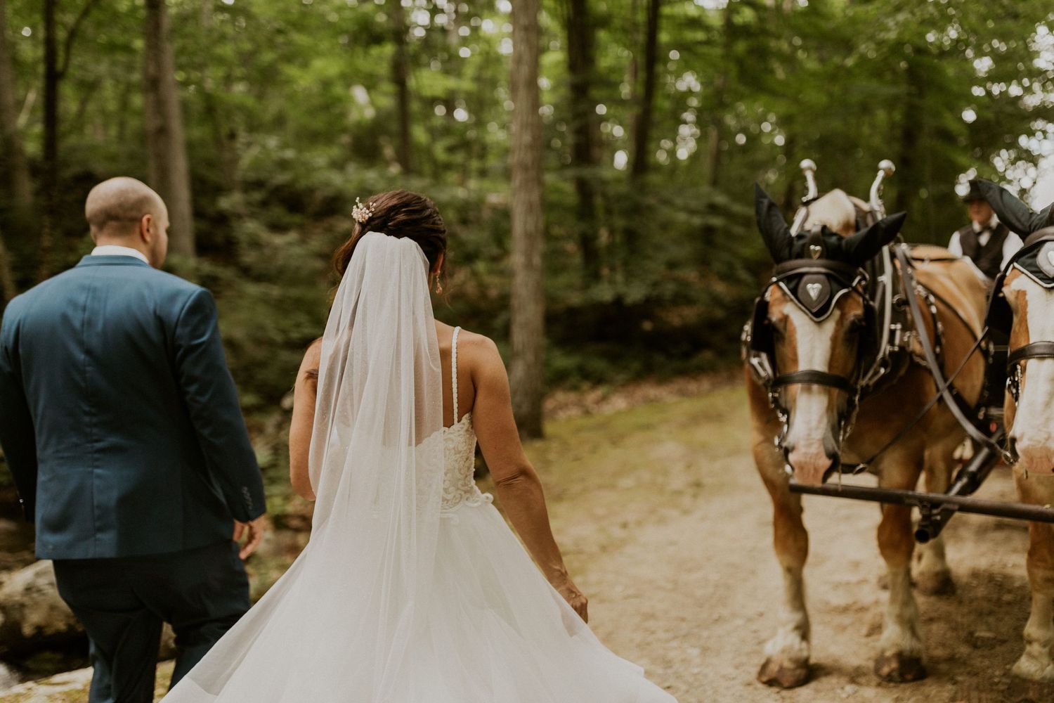 A romantic carriage ride through a wooded forest path during a wedding celebration.