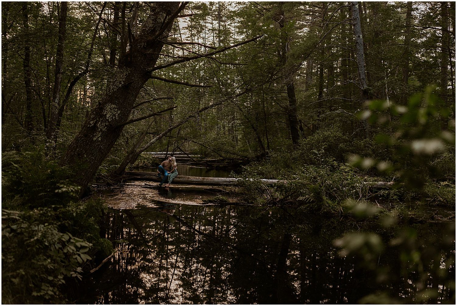 Forest couples photo session in NH
