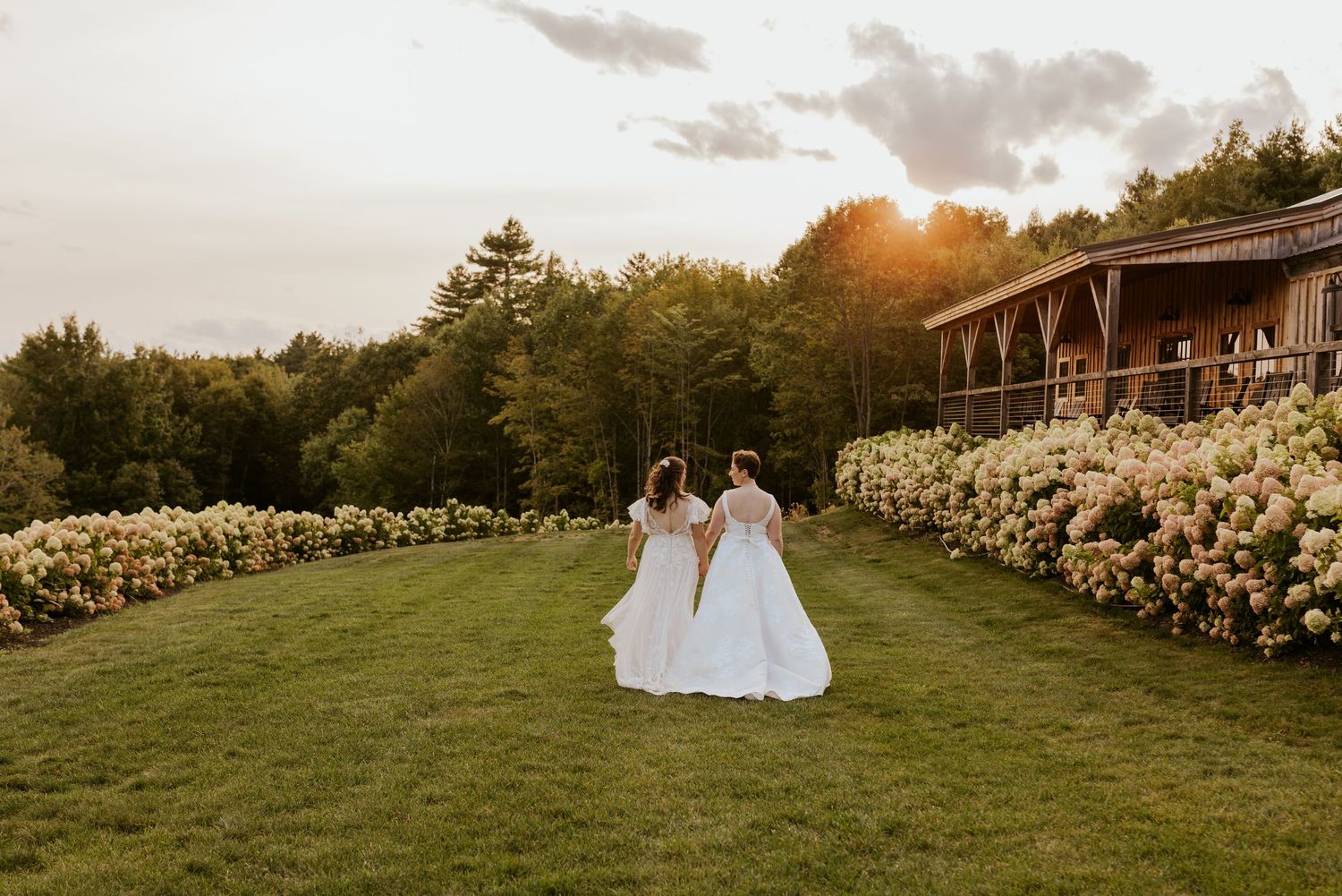 Two brides walk hand in hand down garden path lined with hydrangeas at sunset wedding venue.