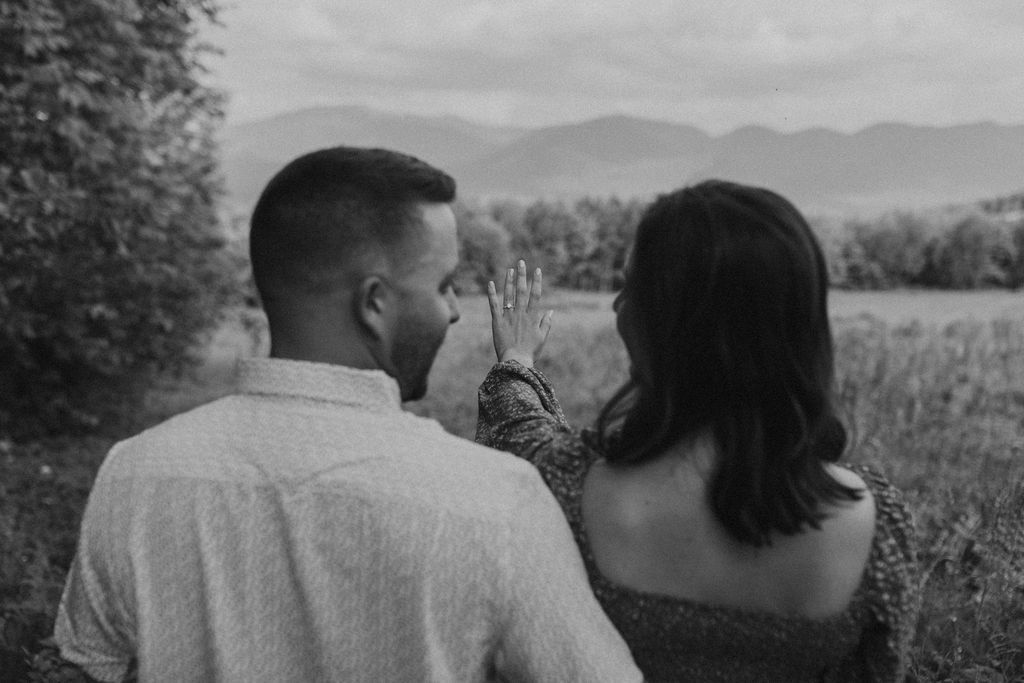 Lupine field proposal NH