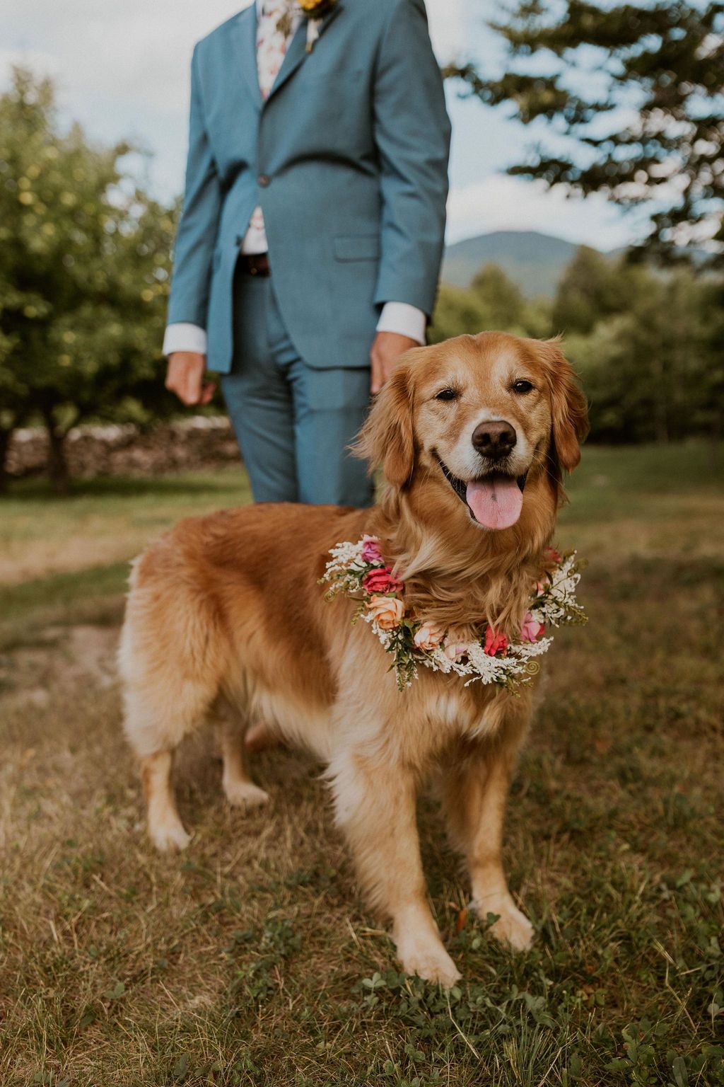 Wildflower themed wedding dog flower collar