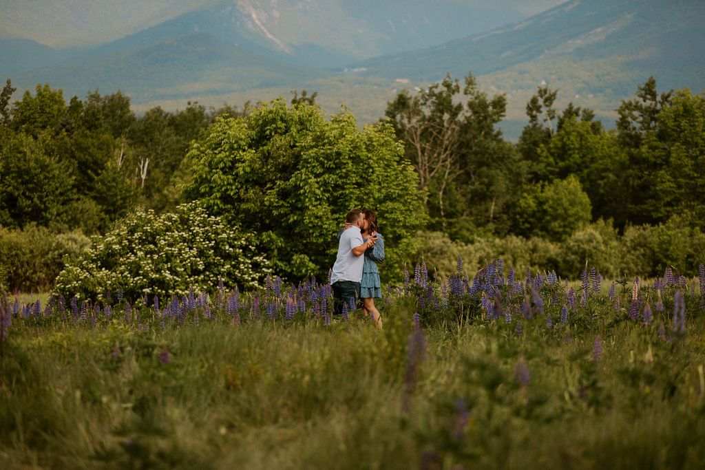 Surprise proposal in the White Mountains