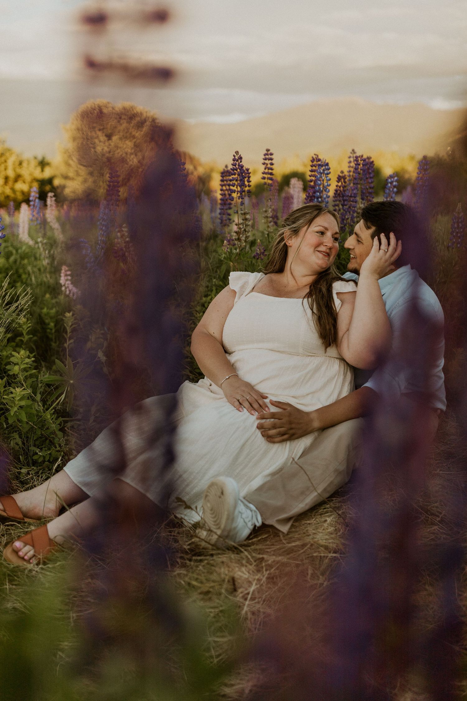 Terise and Jose cuddling up together in a field of purple lupines in Sugar Hill New Hampshire.