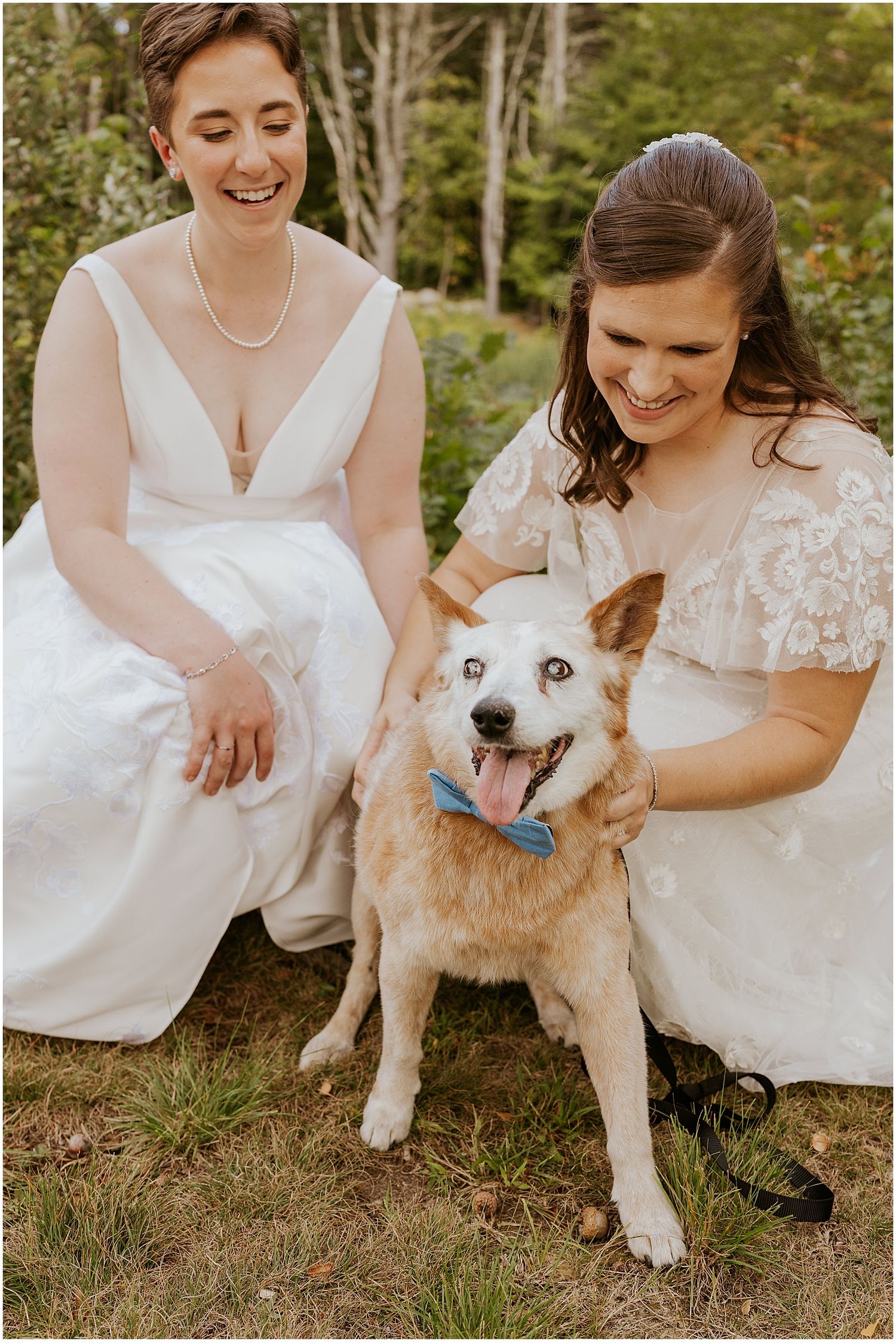 Two people in wedding dresses share a joyful moment with their happy dog wearing a blue bowtie outdoors.