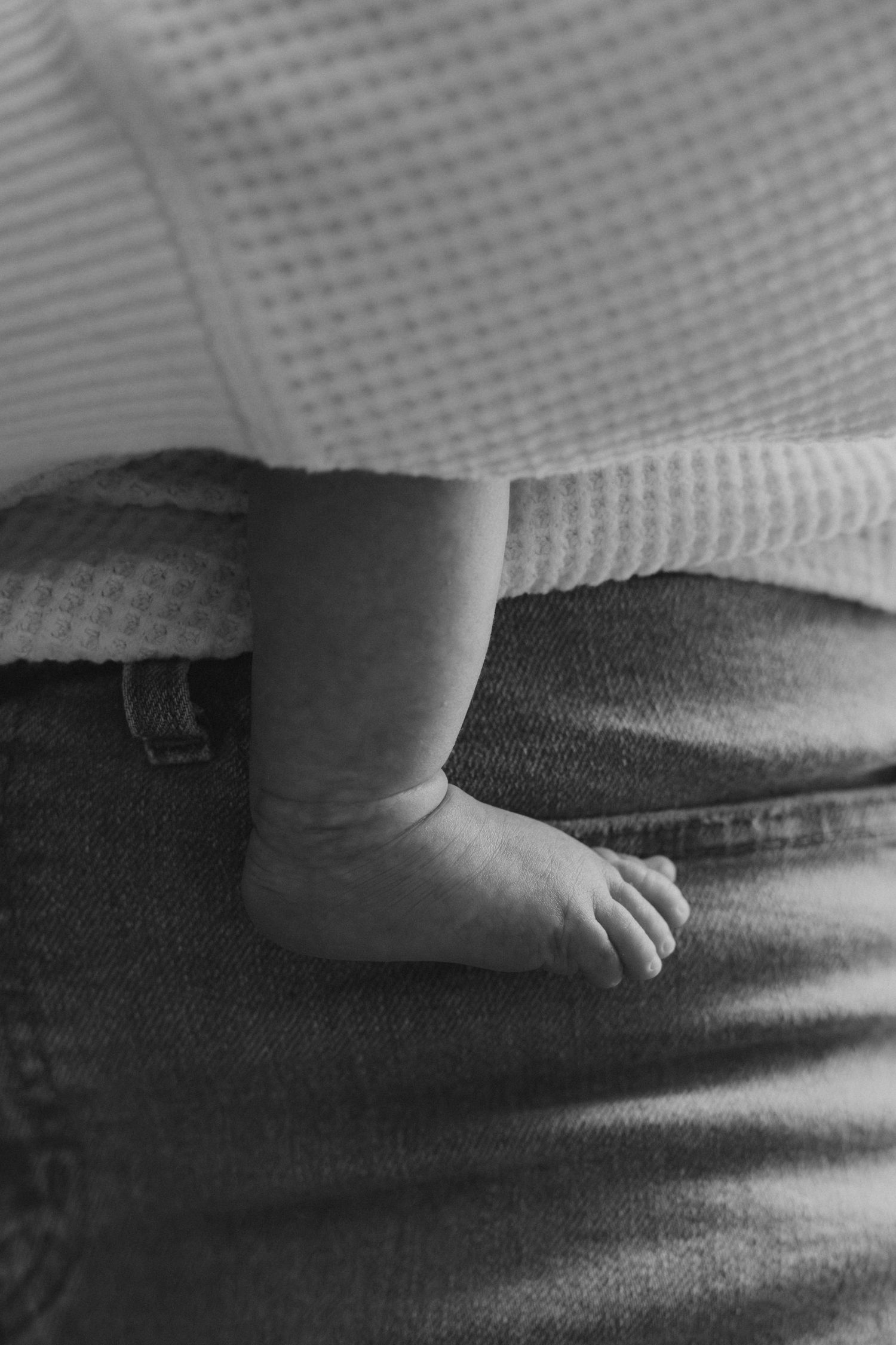 Close-up black and white photo of tiny newborn baby feet resting on a parent wearing denim jeans.