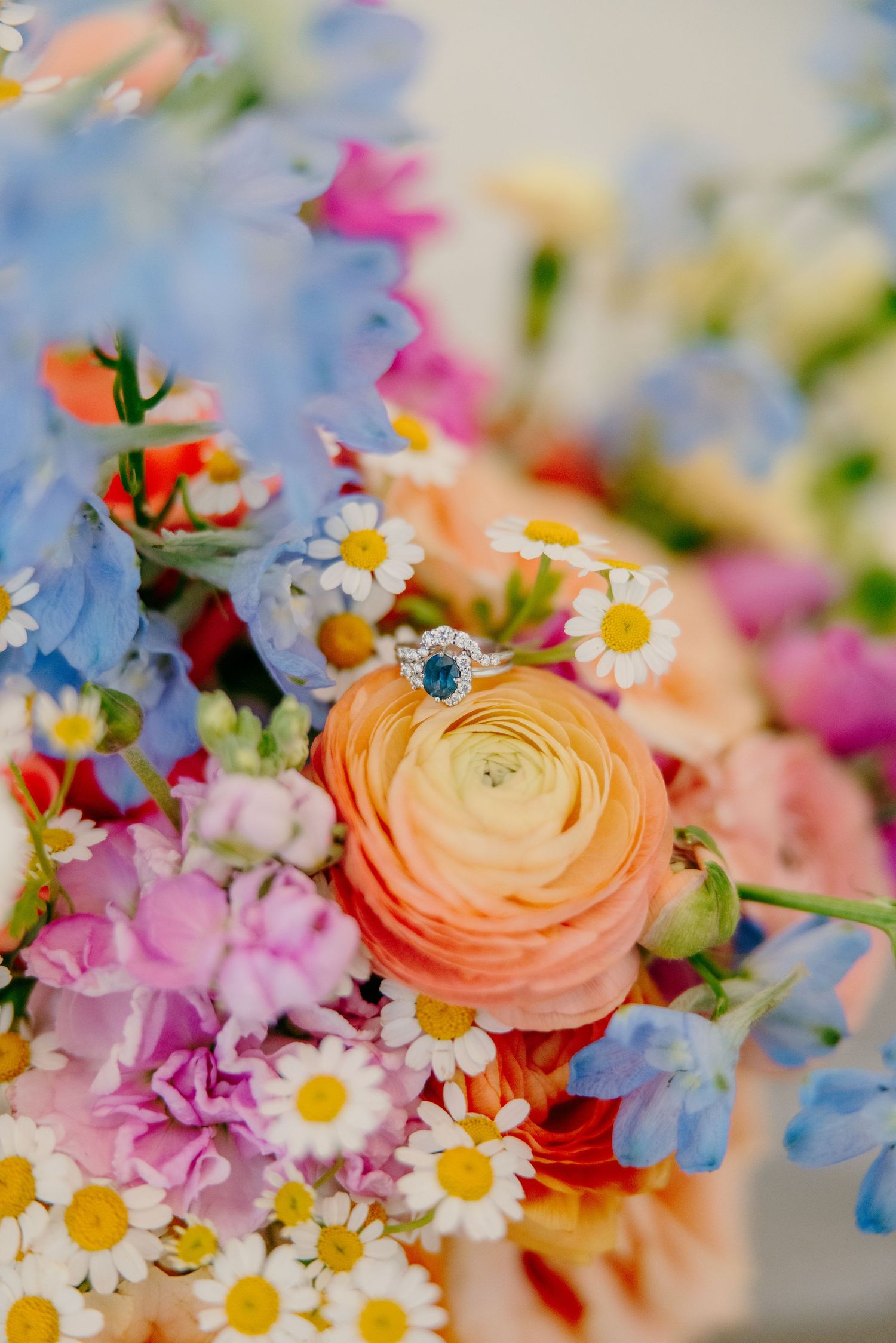 Colorful wedding bouquet with ranunculus, daisies, and blue hydrangeas in soft focus.