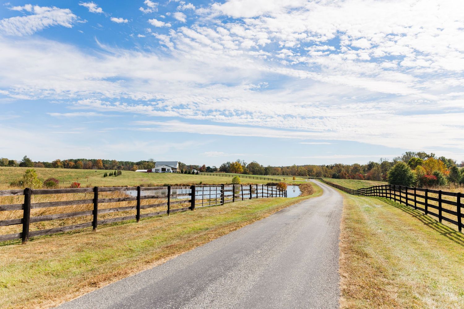 Long country road lined with wooden fences stretches into the distance under a bright blue sky with white clouds.