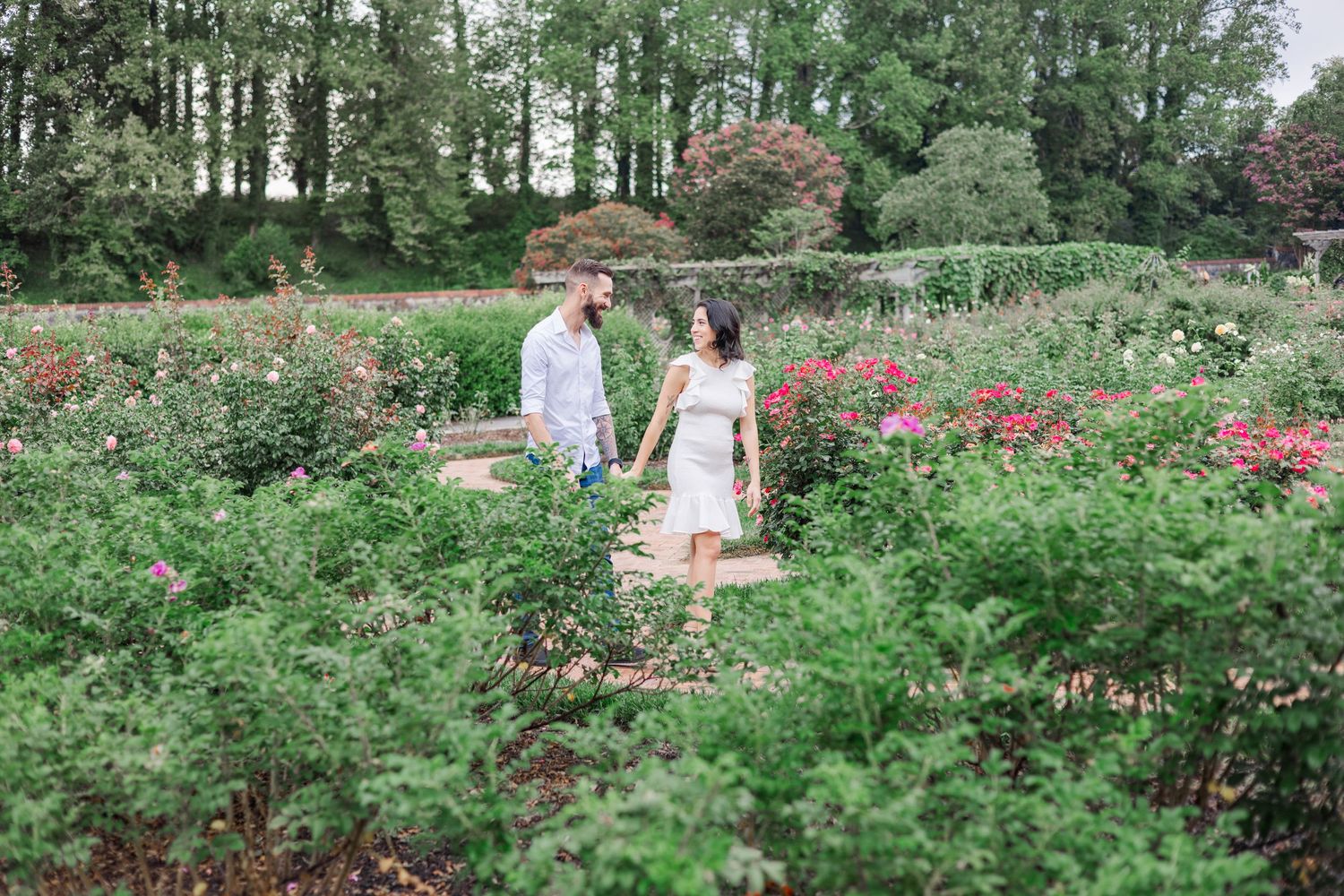 People stroll through a lush rose garden with blooming flowers and green foliage on a sunny summer day.