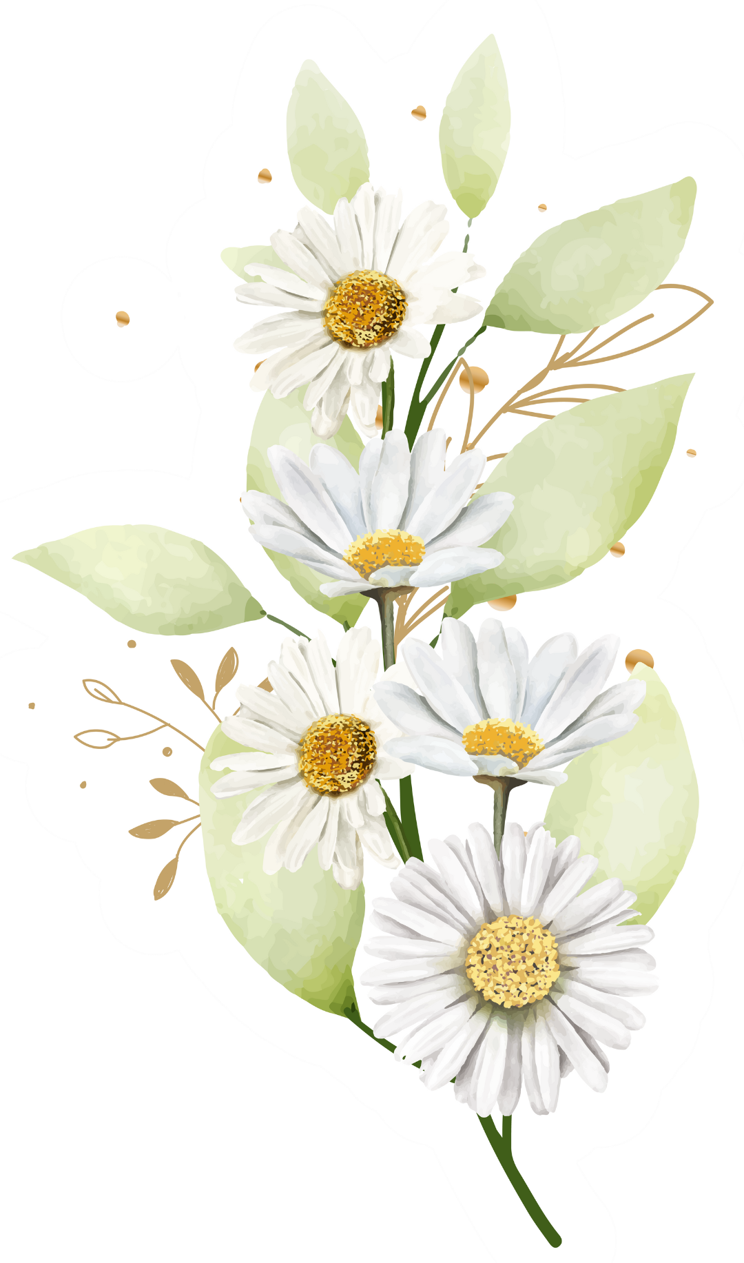 Watercolor illustration of scattered white daisies with yellow centers and soft green leaves.
