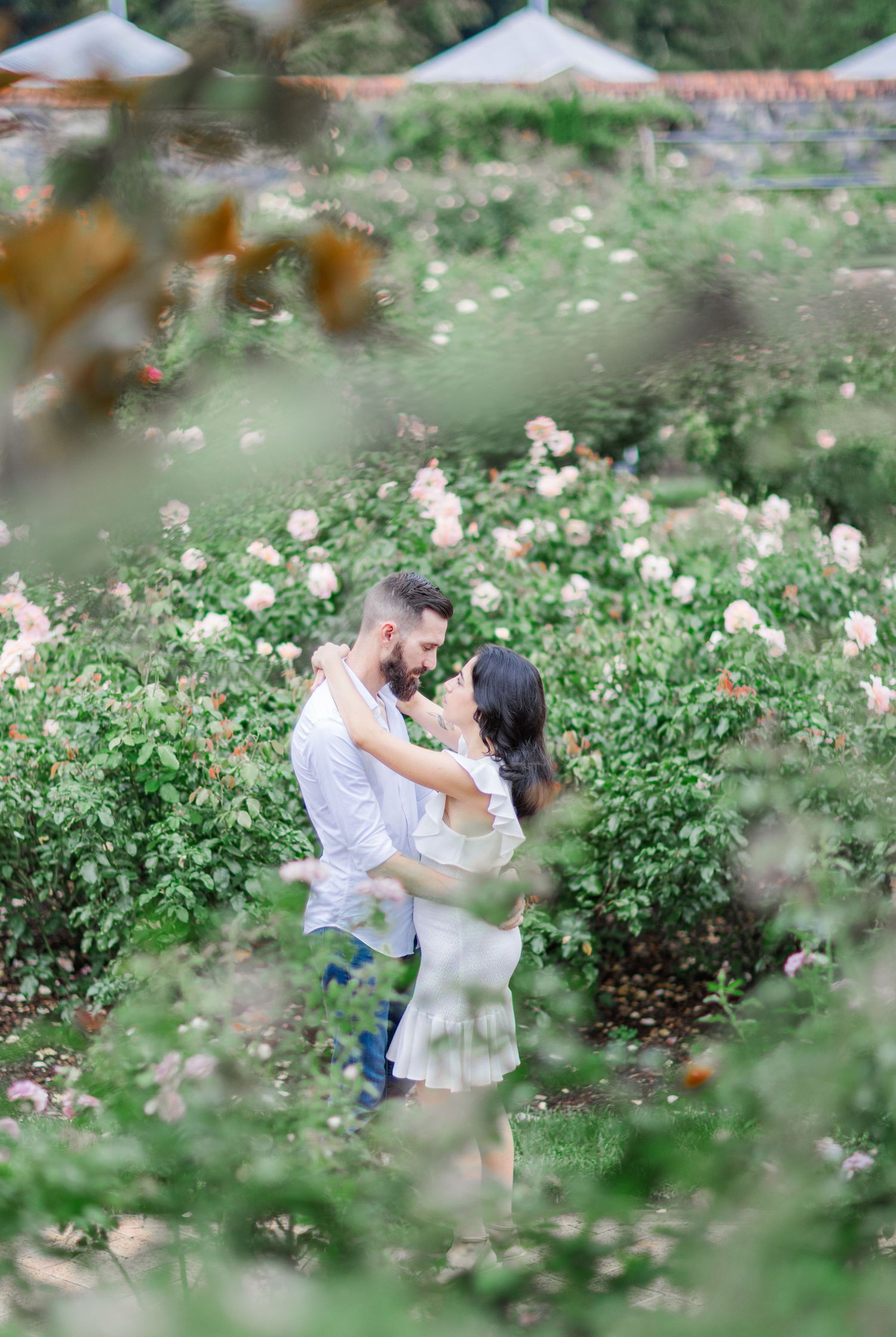 A couple shares intimate moments in a beautiful rose garden with soft lighting and blurred foreground.