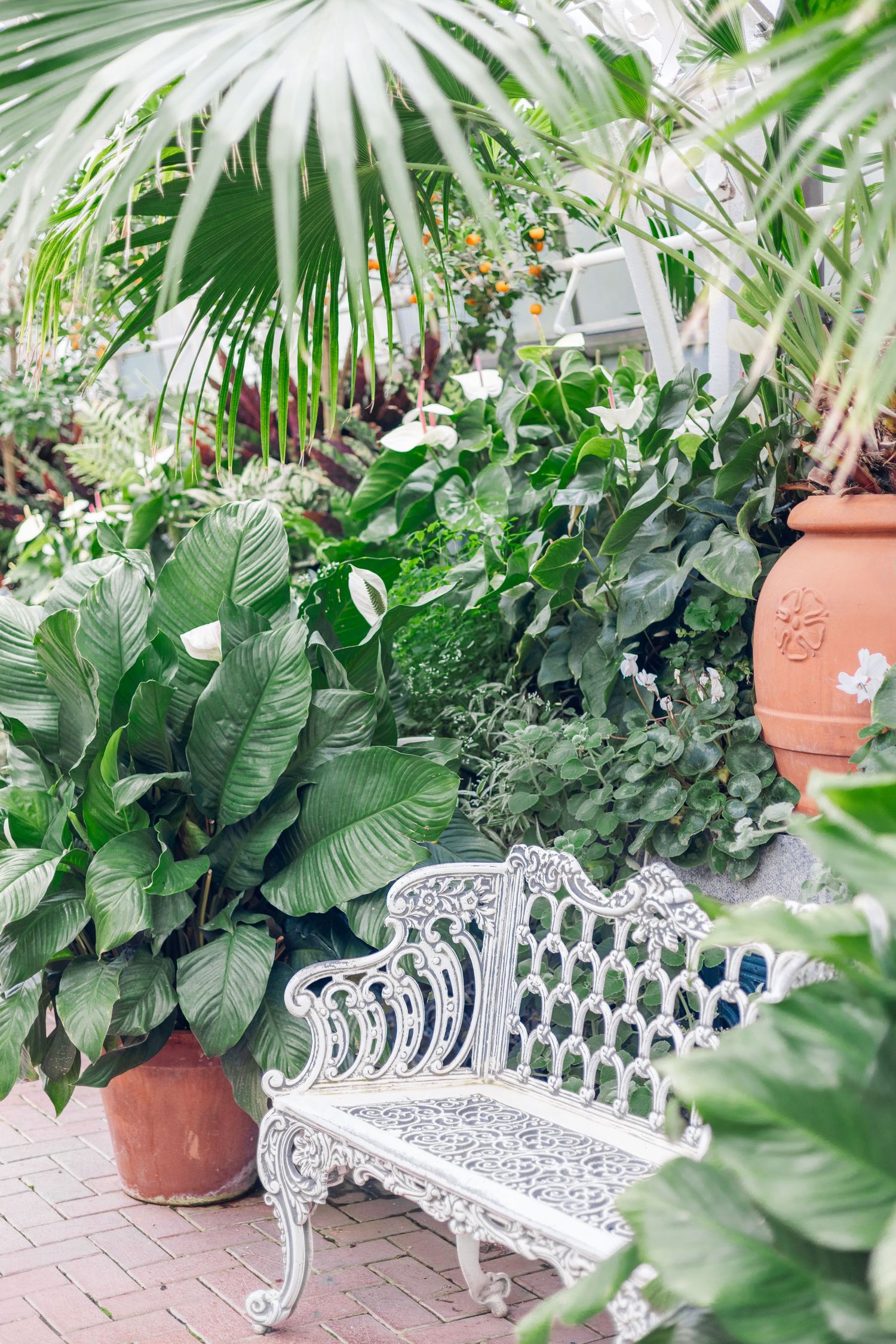 White decorative garden bench surrounded by lush tropical plants and palm fronds in a peaceful outdoor setting.