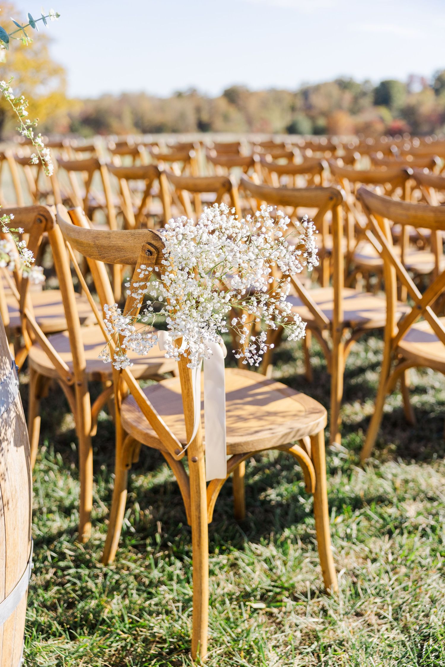 Wooden cross-back chairs lined up outdoors with baby's breath floral decorations.