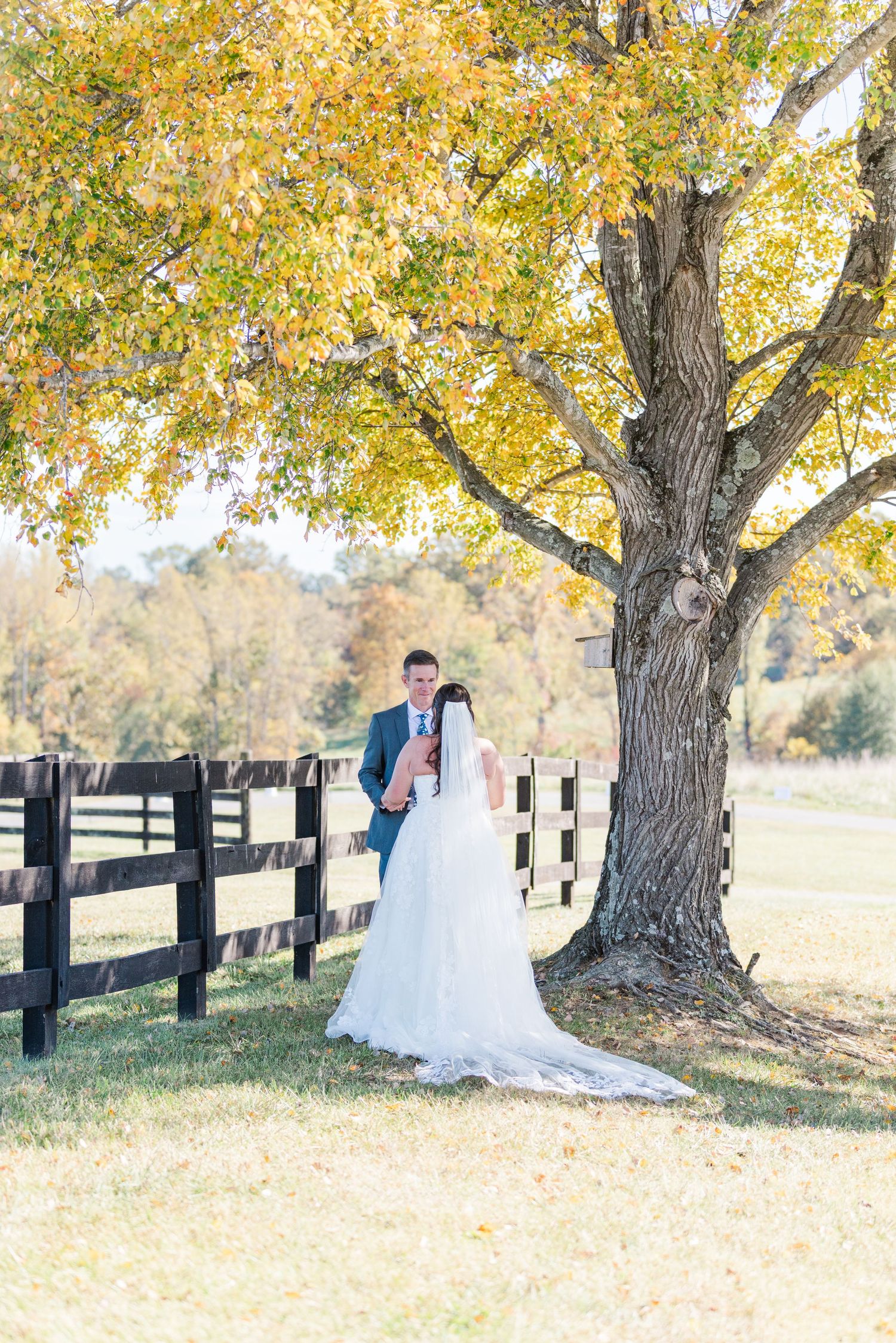 Newlyweds share intimate moments under trees with golden autumn foliage near a black fence.