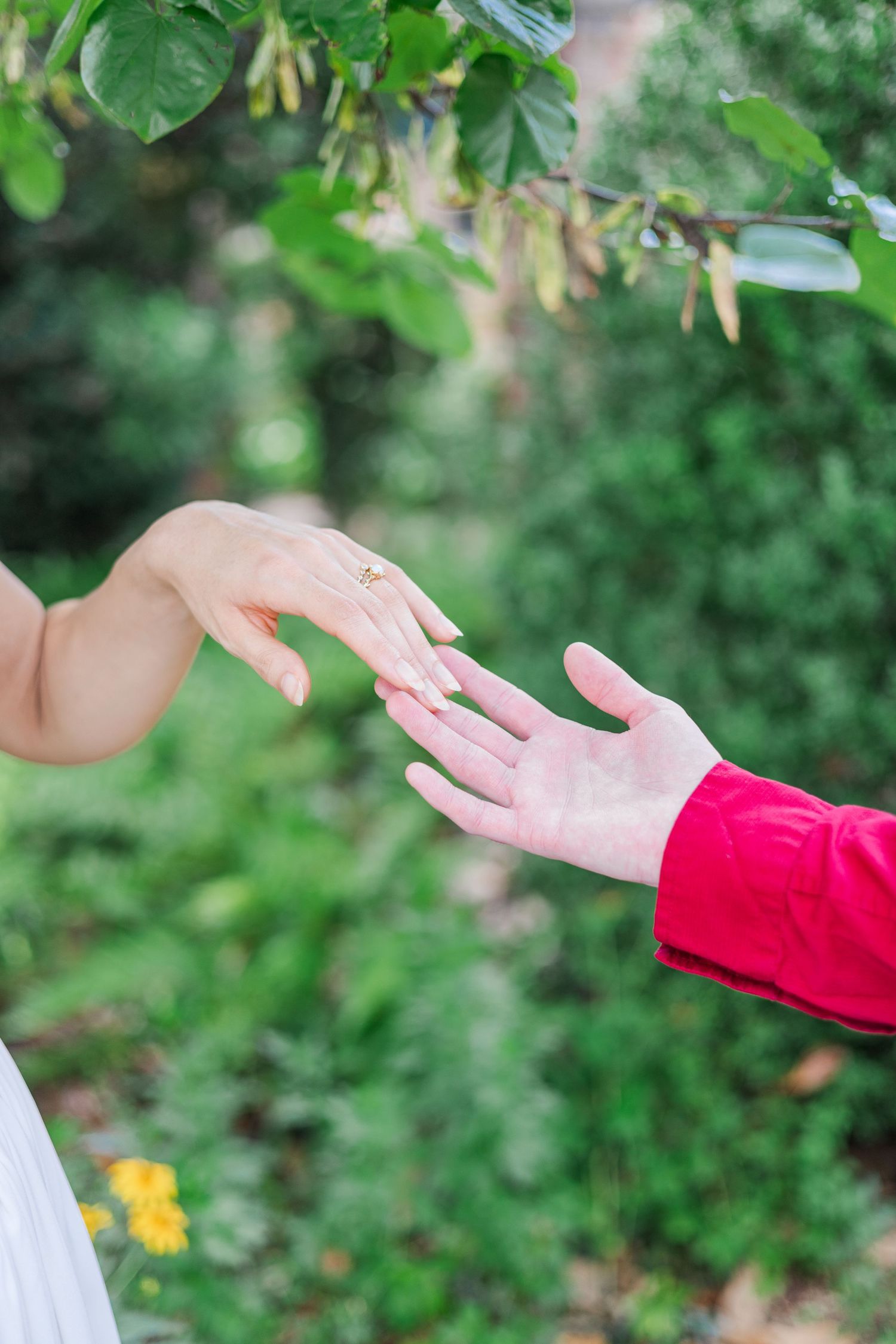 Close-up of hands reaching toward each other against a blurred garden background.