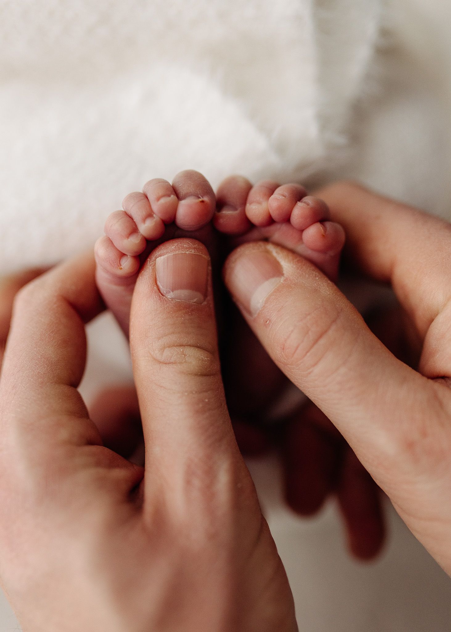 Close-up of tiny baby toes being gently touched by adult hands.