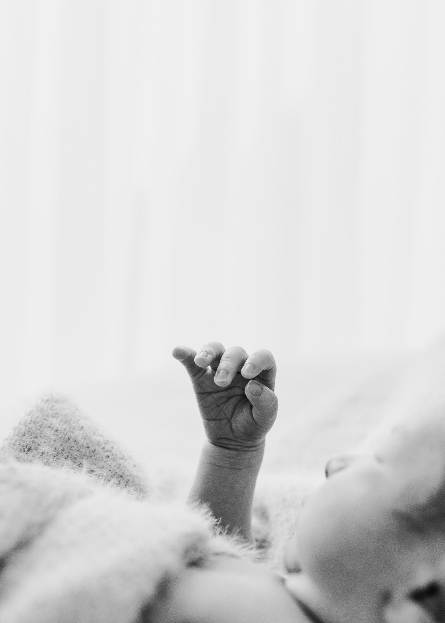 Black and white close-up of tiny baby feet against white background.