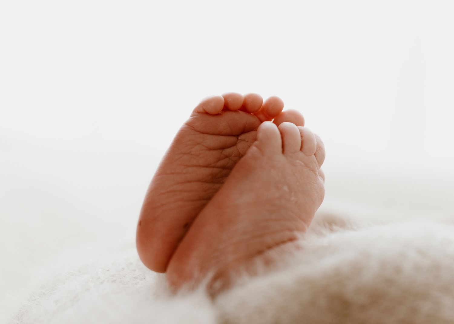 Close-up of tiny newborn baby feet against white background.
