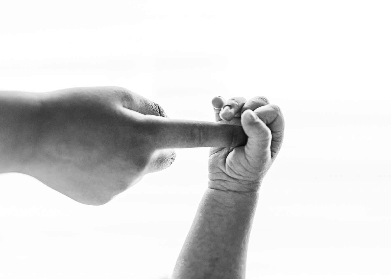 Black and white image showing gentle hands cradling a small object.