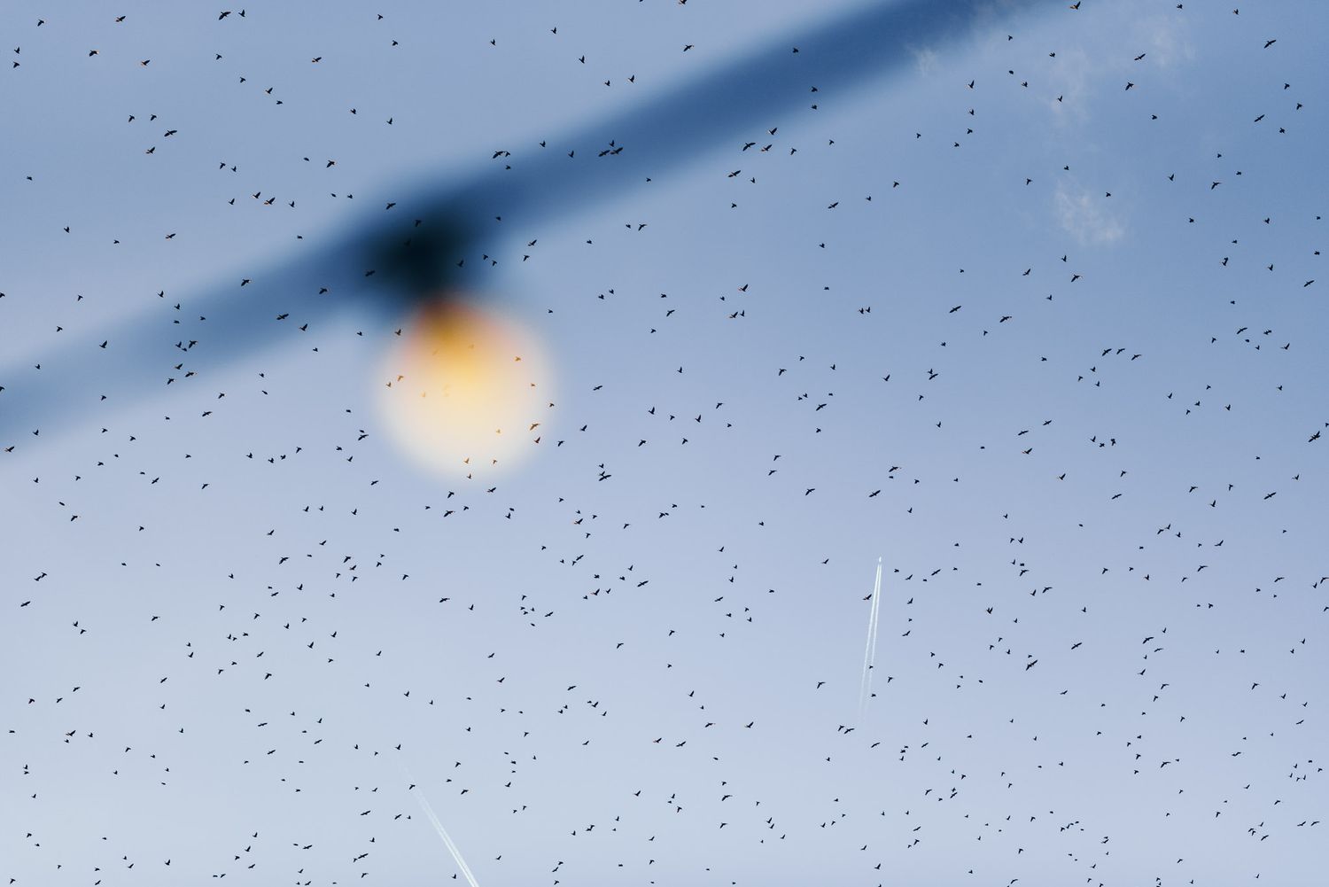 A blurry light fixture against a blue sky filled with tiny black dots.