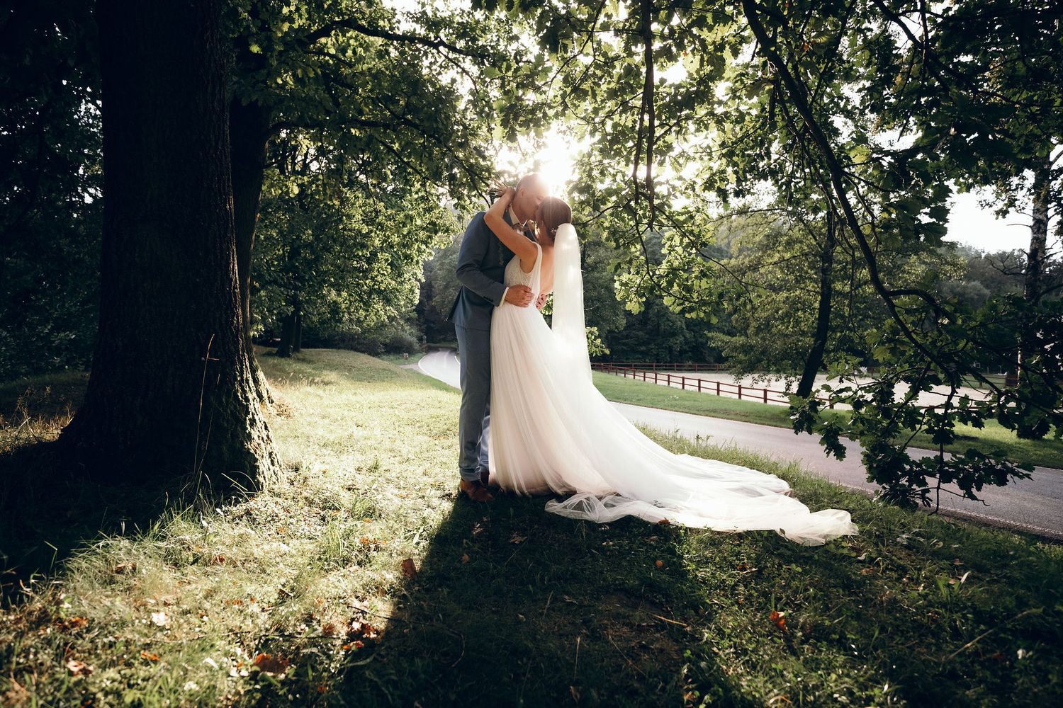 Sunlit wedding photography session among trees in natural outdoor setting.