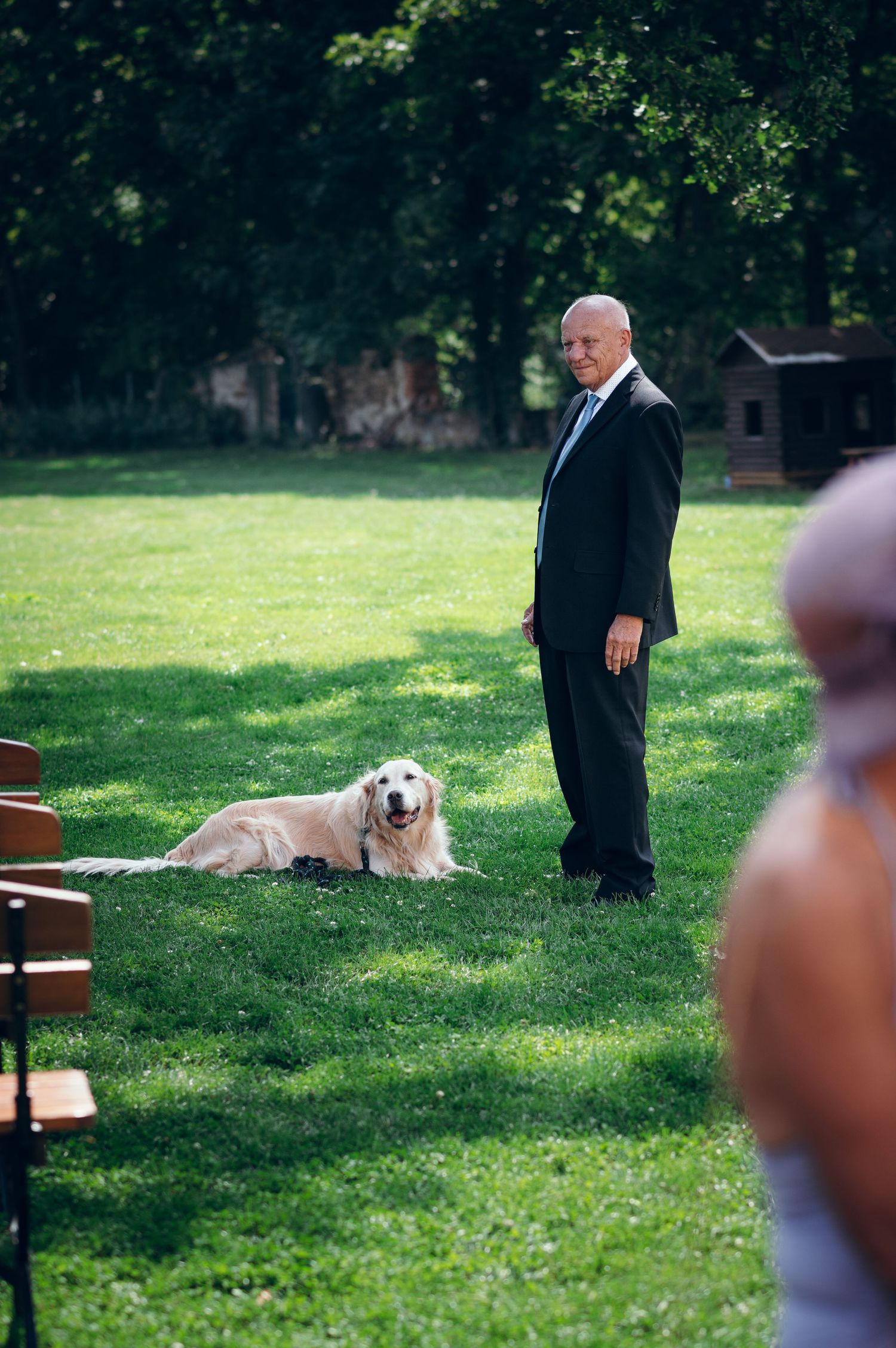 Golden retriever dog rests on grass during outdoor wedding ceremony.