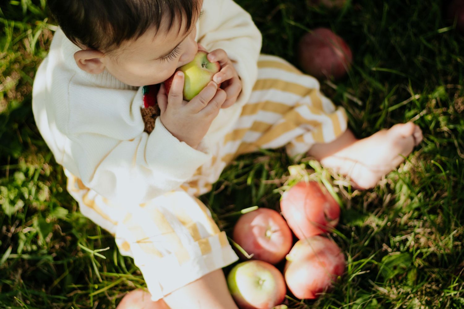 Photographie de famille a Boucherville