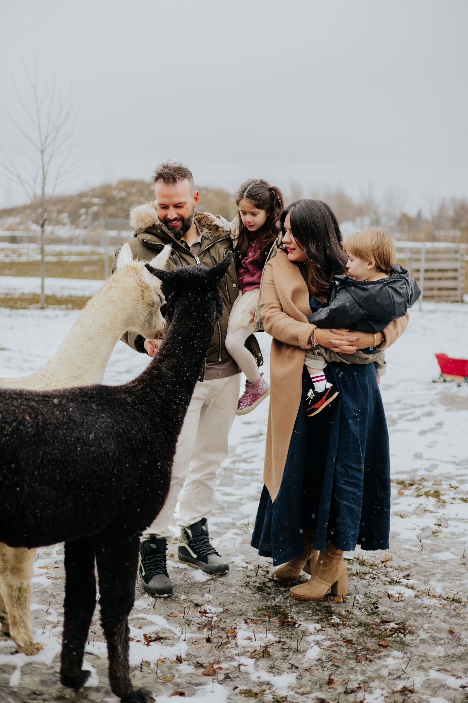 Photographie de famille en extérieur, lumière naturelle et instants spontanés. Rive-Sud-de-Montréal.