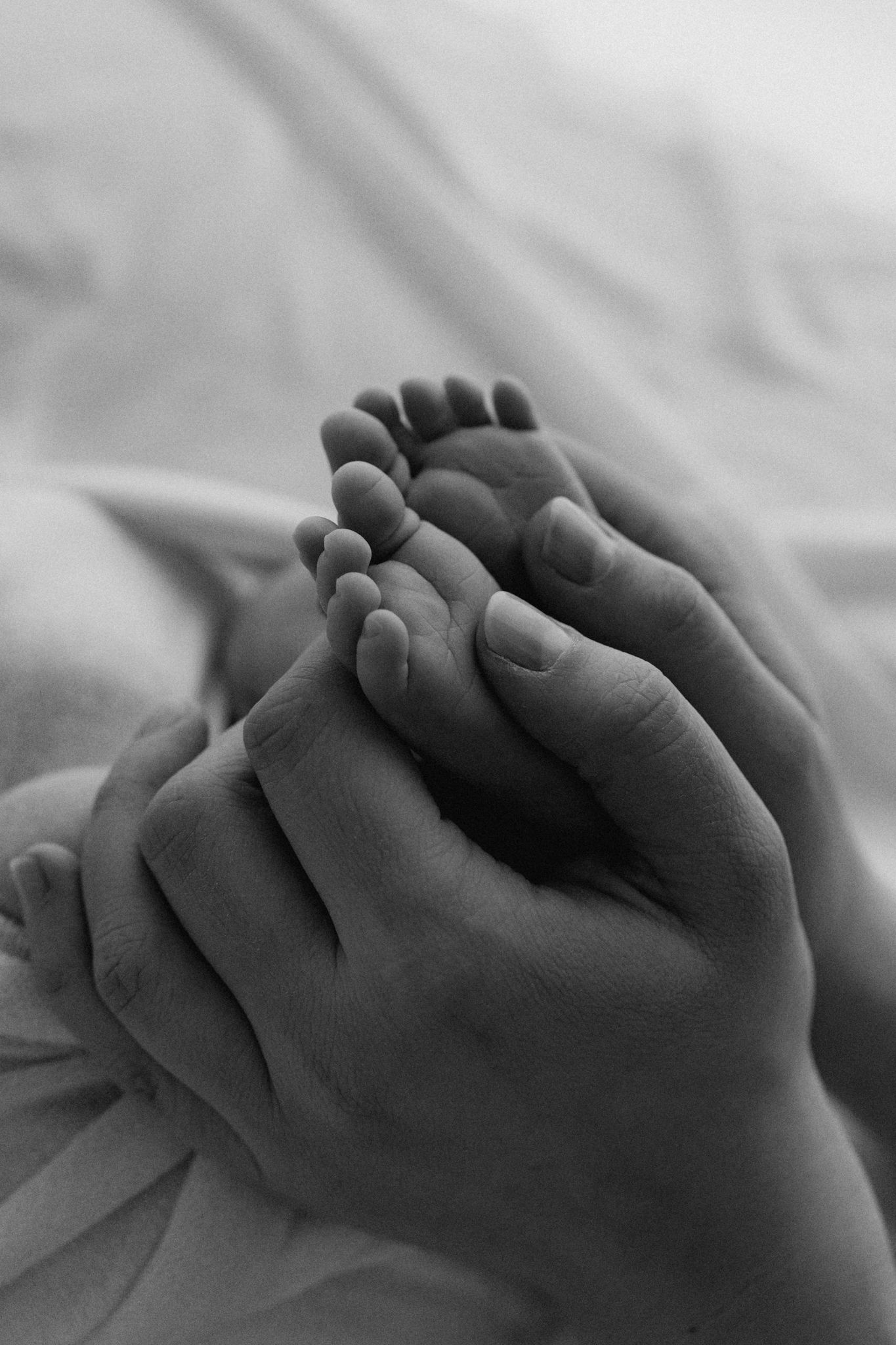 Black and white close-up of adult hands gently cradling tiny newborn baby feet.