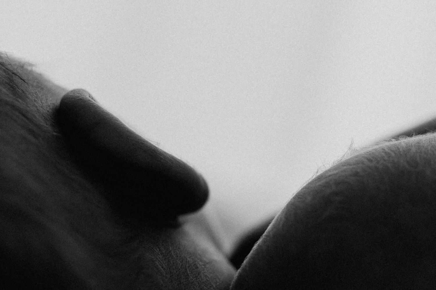 Close-up black and white artistic photo of a newborn babys tiny nose and delicate facial features.