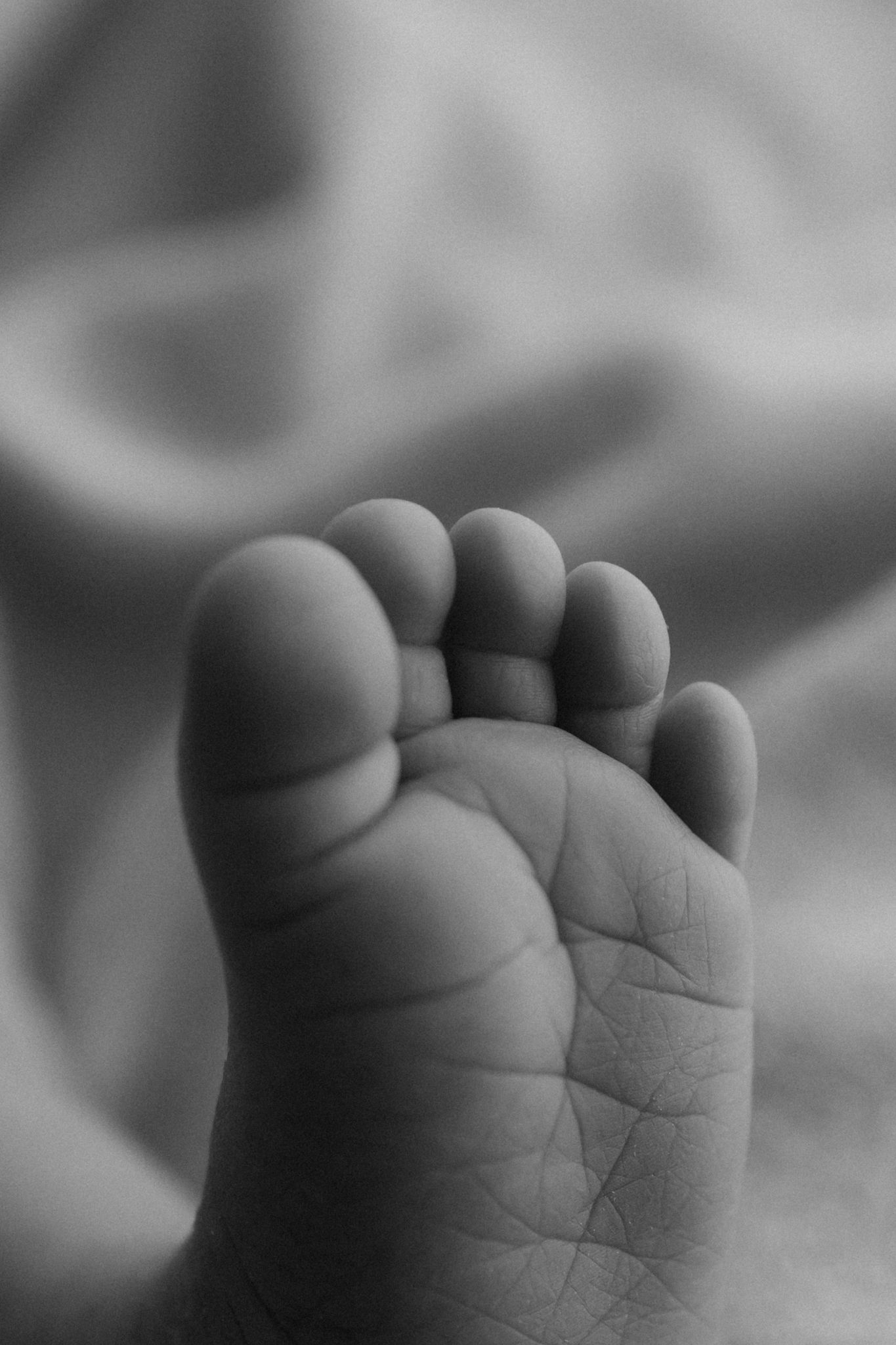 Black and white macro close-up of delicate newborn baby foot sole.