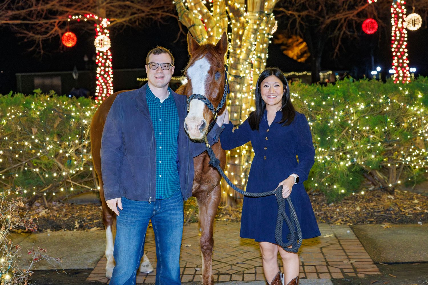 Outdoor holiday scene with glowing yellow string lights creating a magical atmosphere.