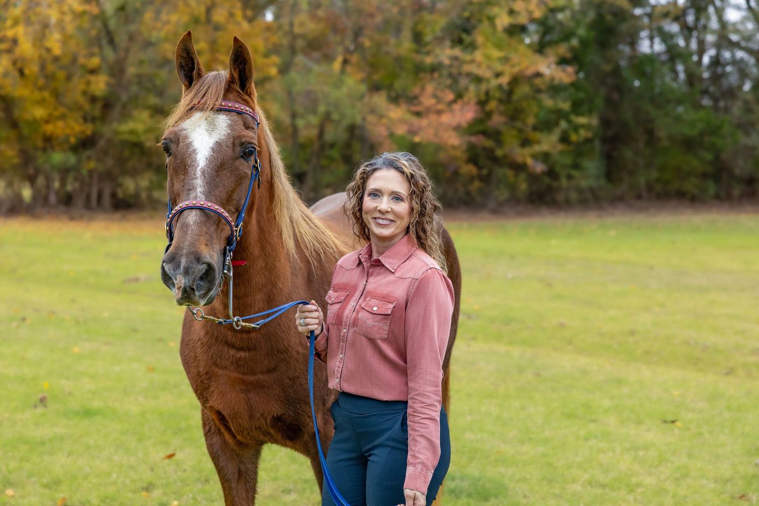 A beautiful brown horse and rider pose in an autumn field with golden trees.