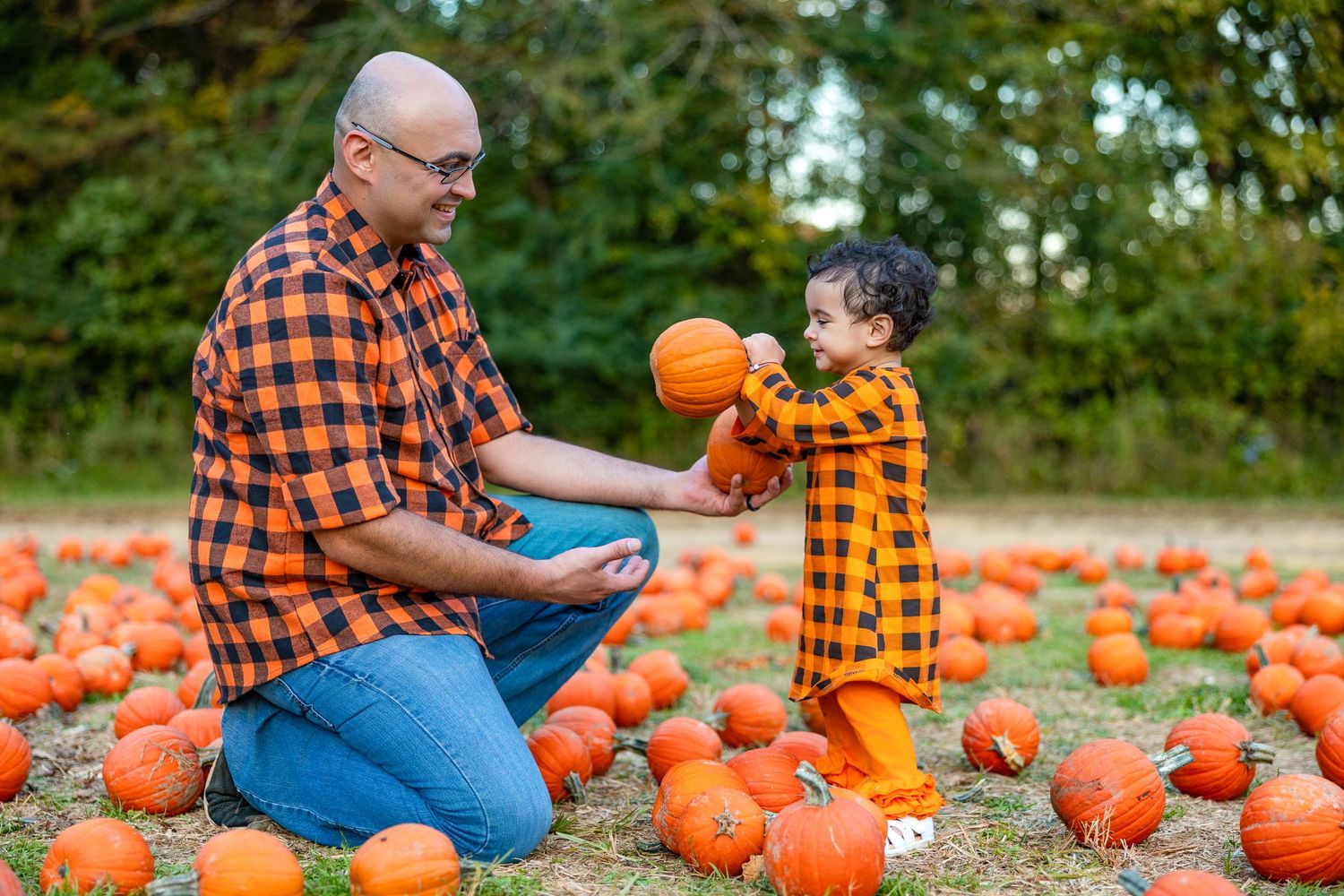 Family enjoying time together at pumpkin patch with scattered orange pumpkins on ground.