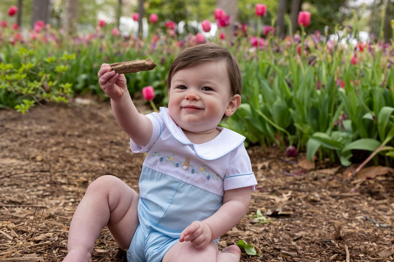 A baby wearing a blue and white outfit sits among blooming pink tulips in a garden on a sunny spring day.