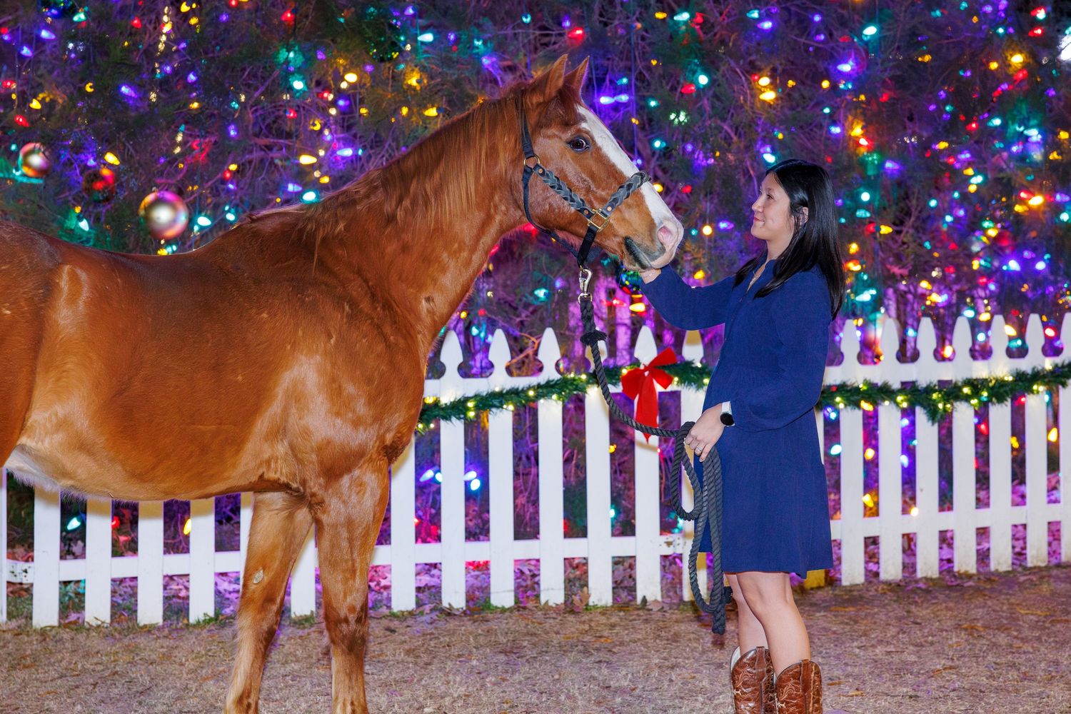 Colorful Christmas lights and white picket fence display at night.