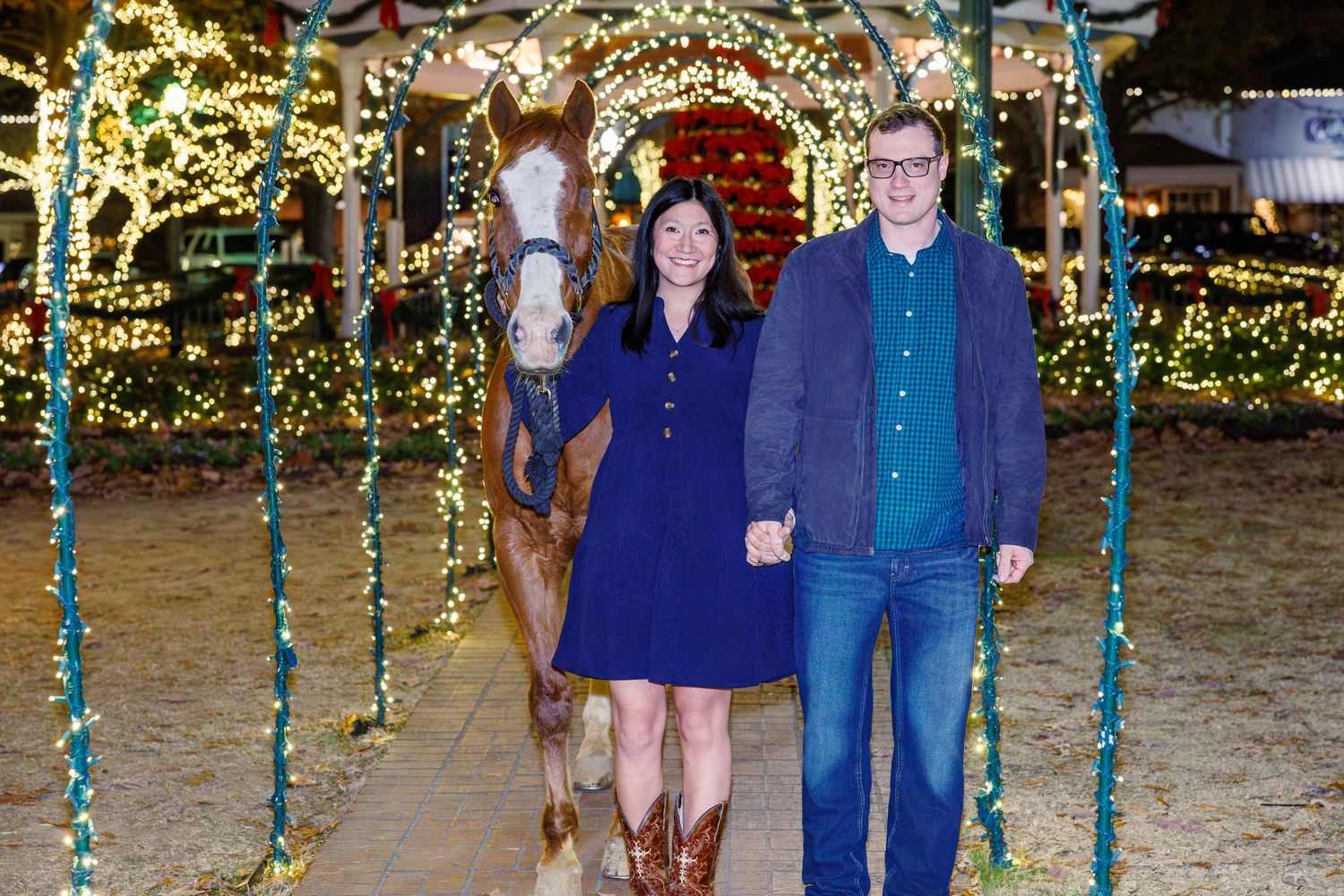 Holiday lights create a magical outdoor display with hanging string lights and decorations.