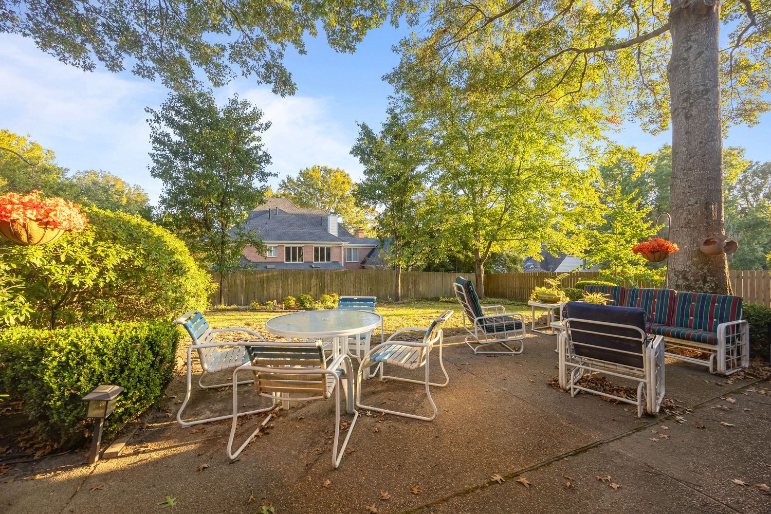Panoramic view of a backyard patio area with multiple lounge chairs arranged under mature trees in autumn light.