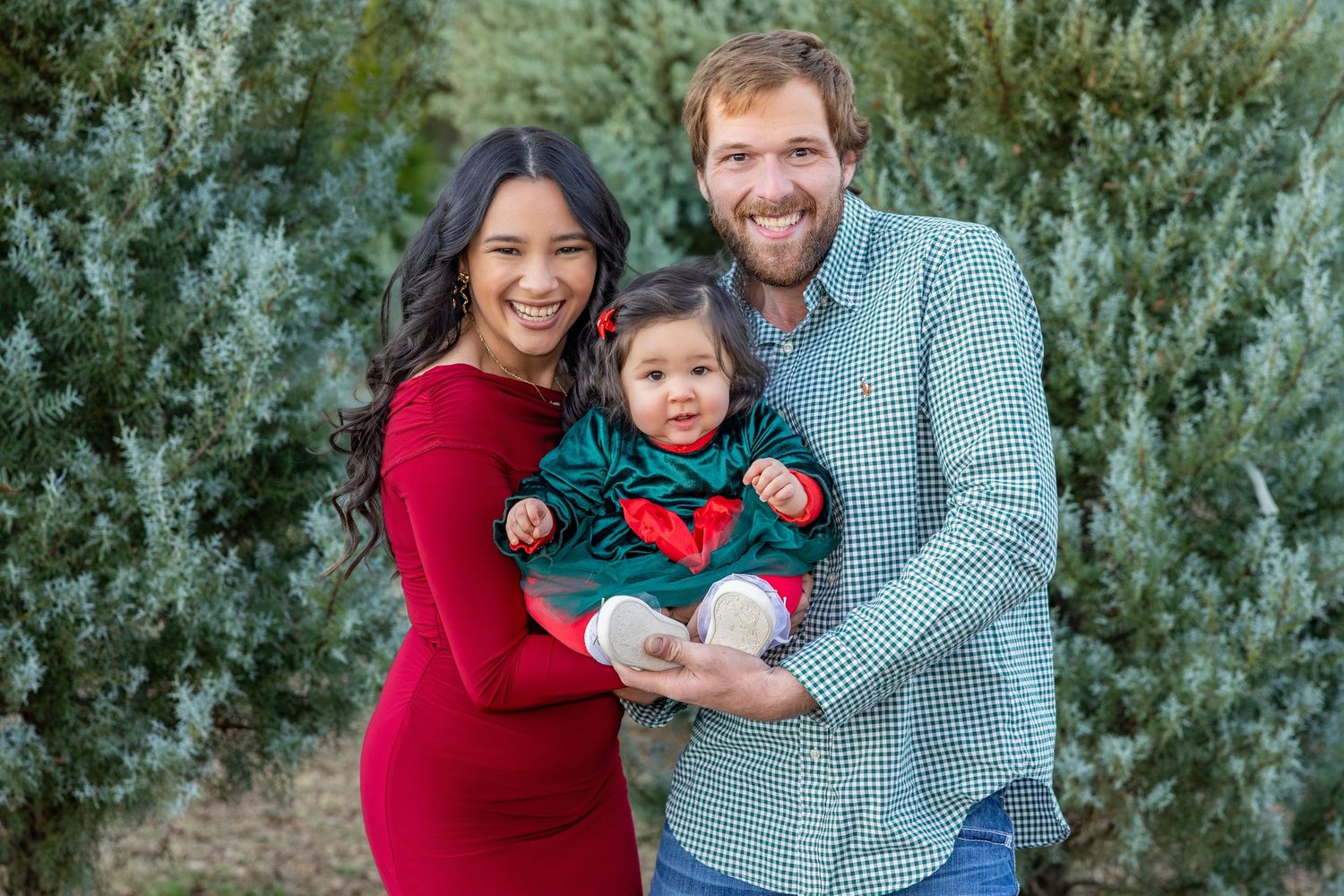 Family holiday portrait session among evergreen trees at sunset.