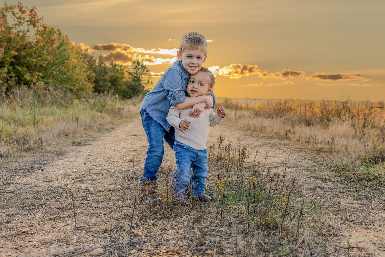 Golden sunset field with dry grass and natural landscape creating a warm evening atmosphere.