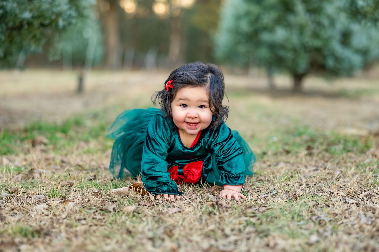 Playful outdoor photography session with family members lying on autumn ground near evergreen trees.