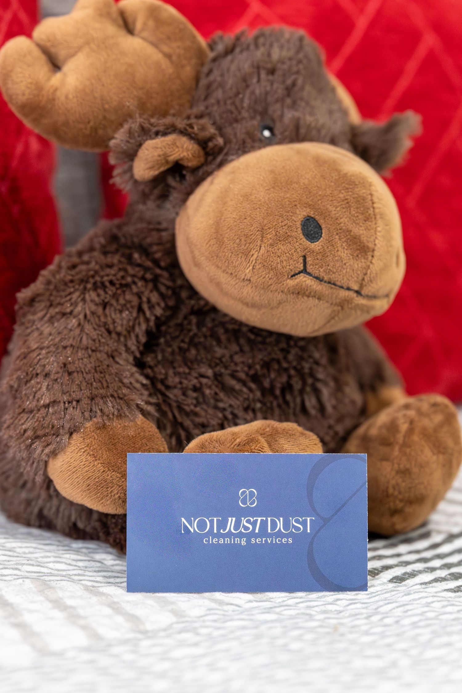 Brown plush teddy bear lying on white surface with blue business cards.