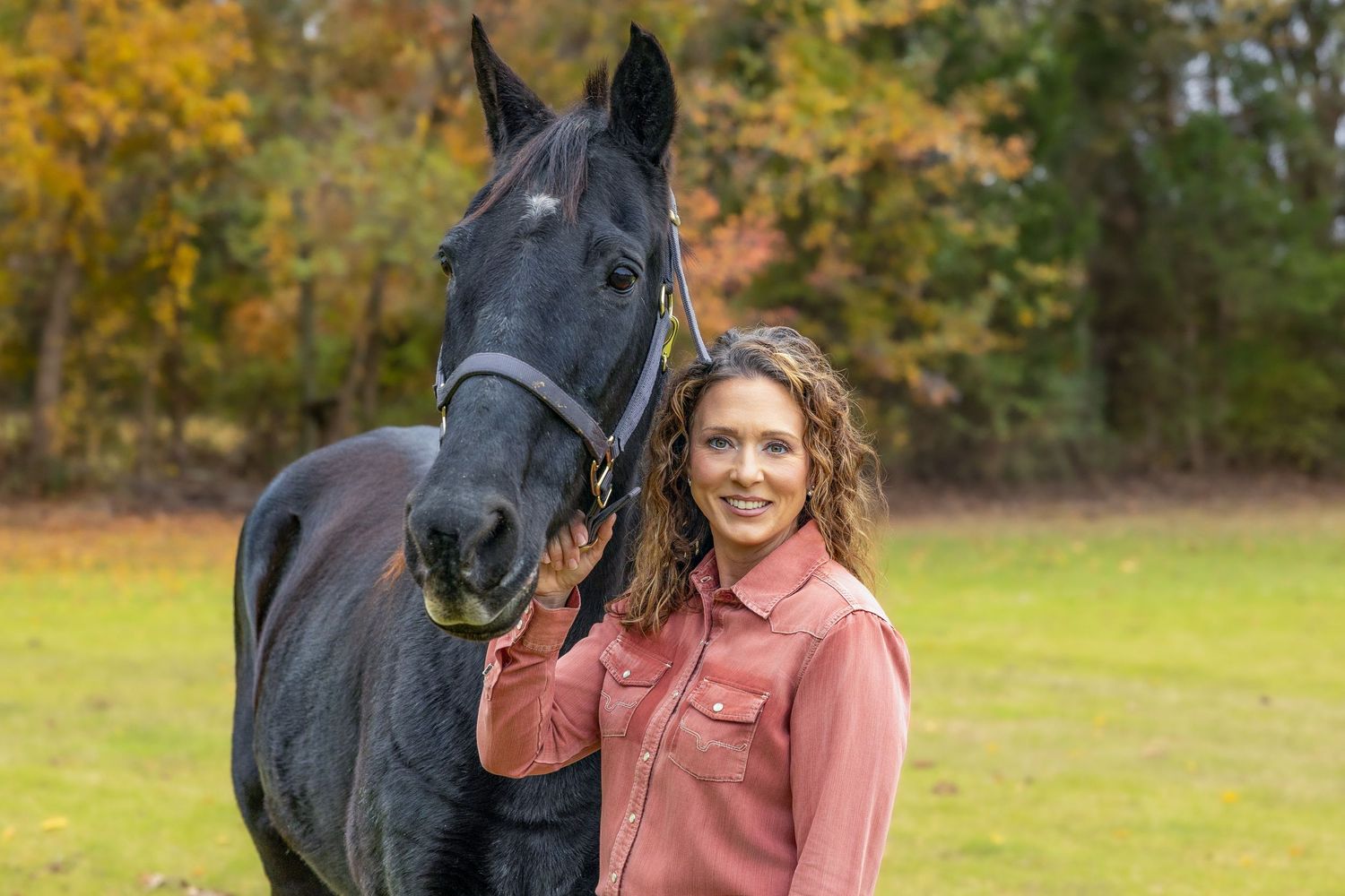 A majestic black horse with bridle stands in a sunny autumn field.