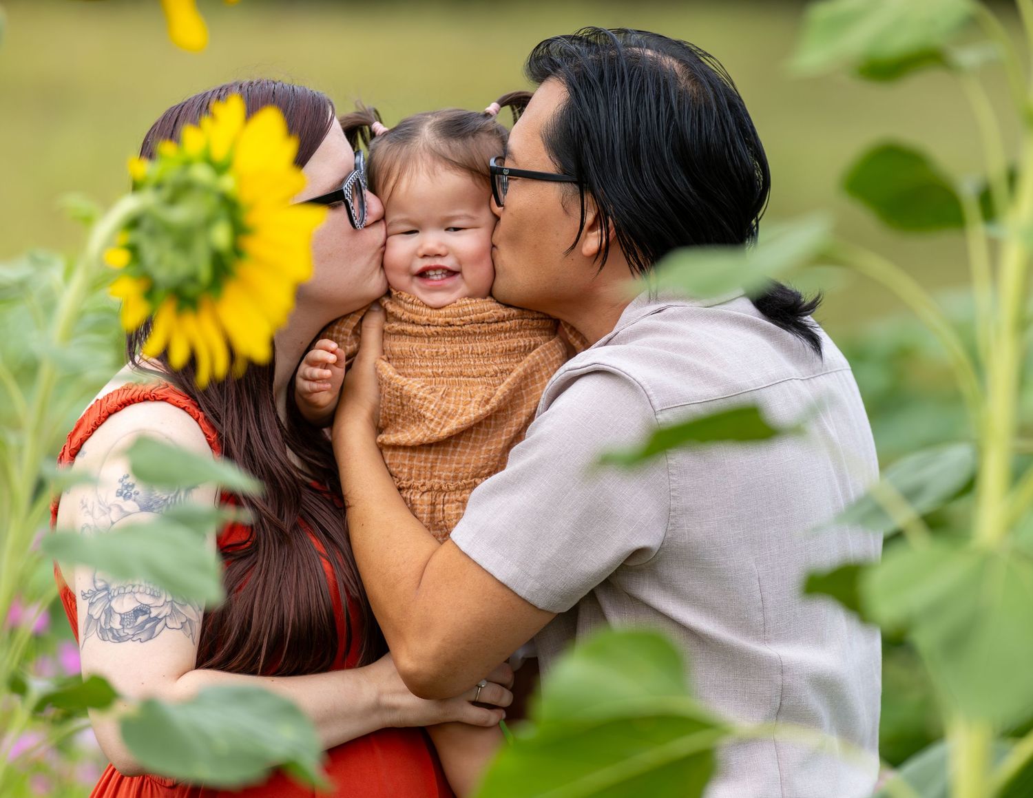 Beautiful sunflower garden setting with vibrant yellow blooms against lush greenery.