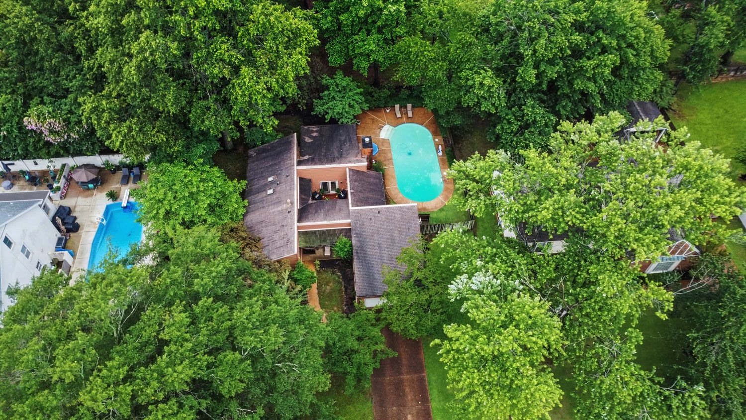 A lush green garden path leads through dense foliage and trees creating a peaceful nature walkway.
