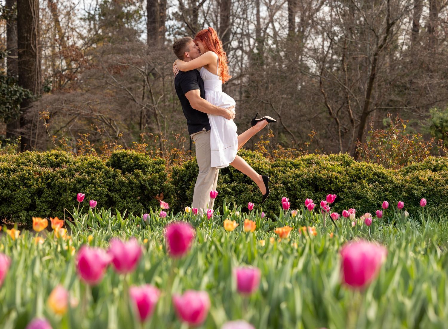 A romantic couple embraces in a vibrant spring garden filled with blooming pink tulips and lush greenery.