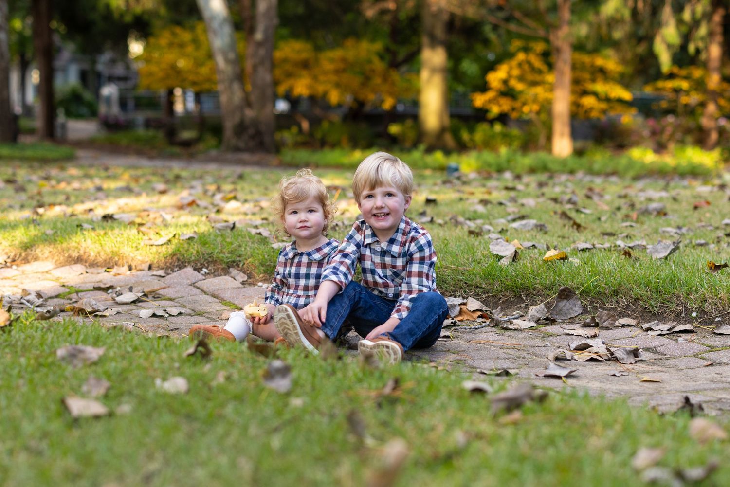 Autumn leaves cover the ground beneath tall trees in a residential yard.